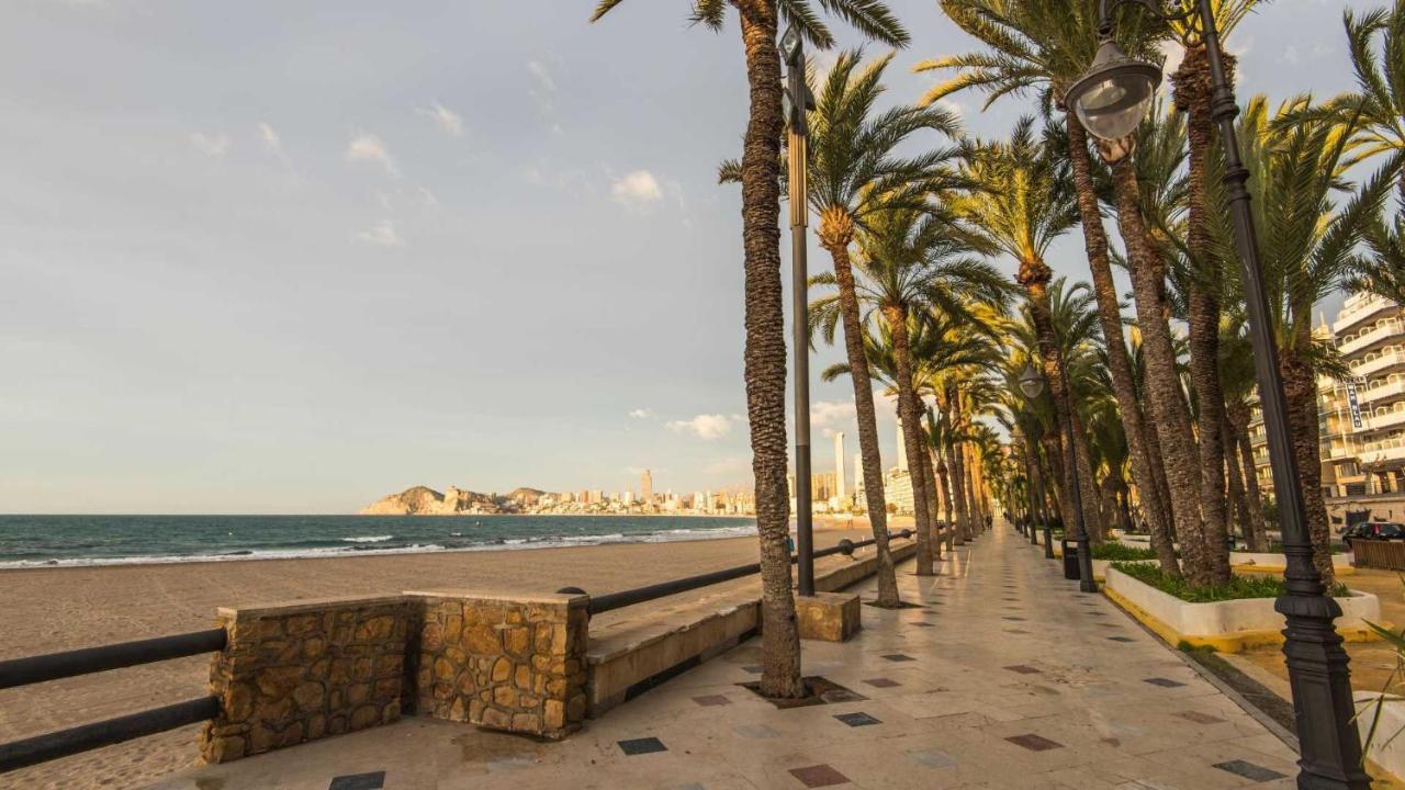 Apartamento Parque Elche If Benidorm Eksteriør bilde